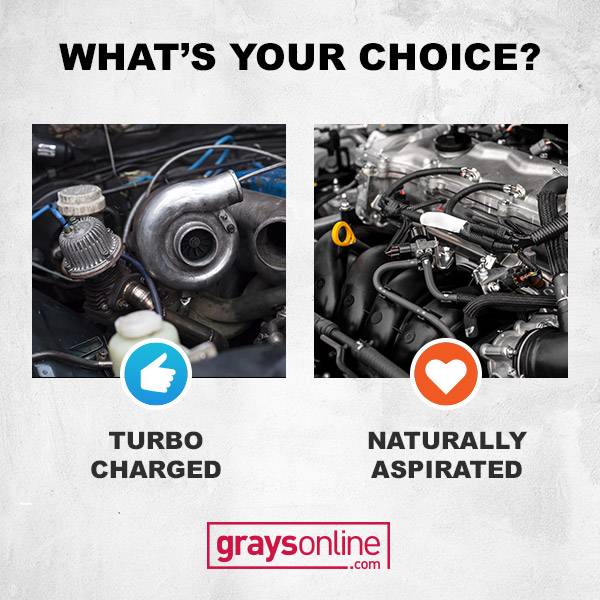 What's Your Choice FB Banner 1